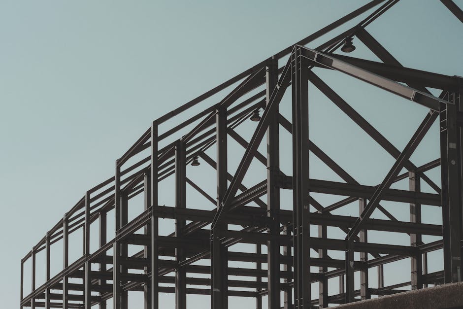 Franc Levantina — taller y equipo